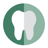 Dental Insurance icon